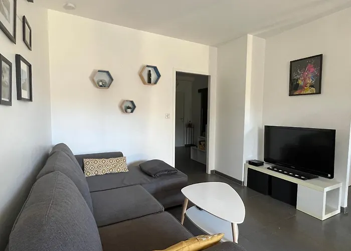 Superbe Centre דירה נים